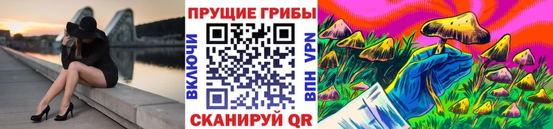 Псилоцибиновые грибы MAGIC MUSHROOMS закладки Никольское